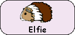 Elfie