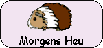 Morgens Heu